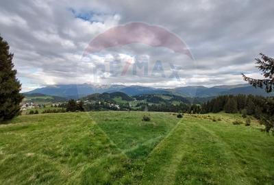 O fereastra catre cer teren de vis in Fundata, la ... - 16