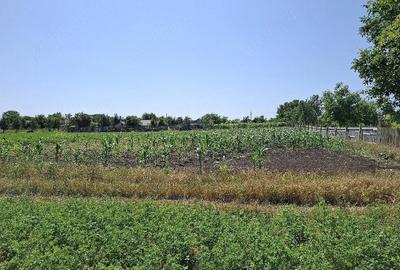 Teren de 1500 mp, în Padina - 3