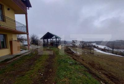 Villa, 500 mp, 7 camere, 3500 mp teren, zona Stramba - 13