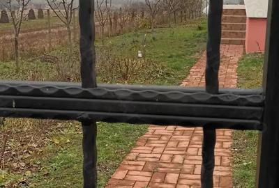 Casa de vacan?a sau domiciliu stabil - 7