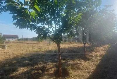 Miroslava TEREN 1157mp intravilan suprafata plana, zona foarte buna - 2