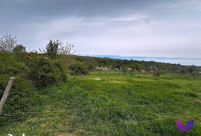 Teren de 550 mp, în Central - 6