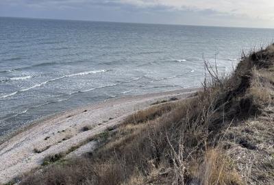 Teren Privilegiat pe Litoral: 120m Deschidere Directă la Mare în 23 August Teren Privilegiat pe Litoral: 120m Deschidere Directă la Mare în 23 August - 4
