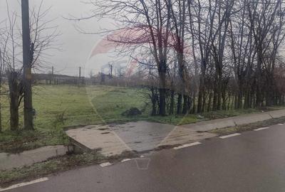 Teren agricol intravilan de 2205 mp, în Cocora - 3