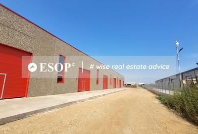 Hale industriale, parc modern, Rudeni, Chitila, Ilfov- ID 15462 Hale industriale, parc modern, Rudeni, Chitila, Ilfov- ID 15462 - 30