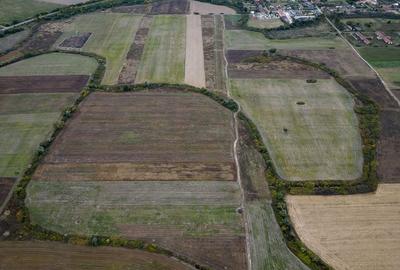 Teren agricol de 34.500mp în Albina, Județul Timiș - 3