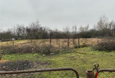 RECO Casa cu 2 camere de vazare in Ungaria la 9km de oradea - 10