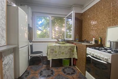 Apartament cu 2 camere semidecomandat în Banat - 6