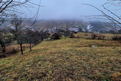 Teren intravilan Simon/Bran, 4318 mp , casuta intabulata, utilitati - 10