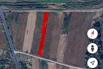 Teren de 3700 mp, în Gavojdia - 7