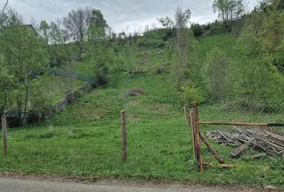 Teren de 839 mp, în Valea Doftanei - 1
