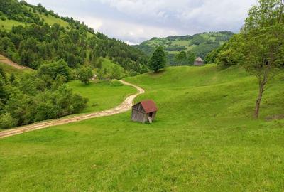 Teren extravilan de 49901 mp, în Romuli