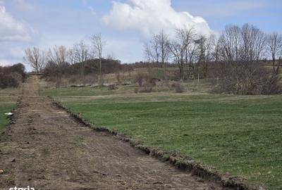 Teren de 1000 mp, în Central