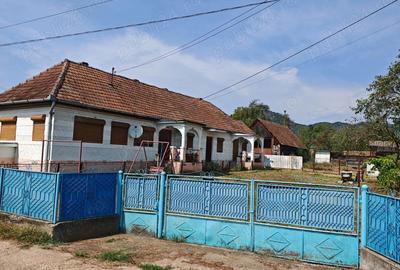 Casă cu 4 camere cu Teren 1239 Mp în Certeju de Sus - 8