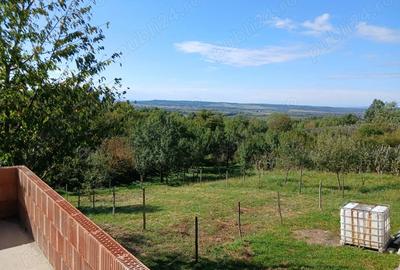 Casa la rosu in cicarlau - 6