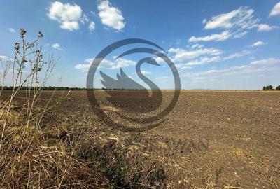 Teren extravilan de vanzare | 9882mp | Berceni - Prahova | Comision 0% - 7