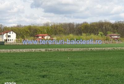 Spațiu comercial, în Balotești - 9