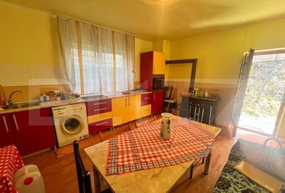 Casa individuala, zona Centrala, 10 ari teren, Prundu Bargau - 9