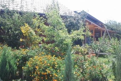 Intravilan 480 mp , loc de casa , zona padure Baicoi Prahova - 7