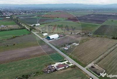 Teren de 1800 mp, în Mirceștii Vechi - 1