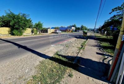 Teren Construcții intravilan de 3538 mp, în 1 Mai - 2