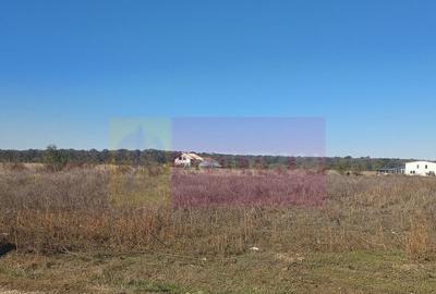 Teren de 6293 mp, în Săbăreni - 3