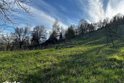 Teren de 2500 mp, în Valea Doftanei - 6