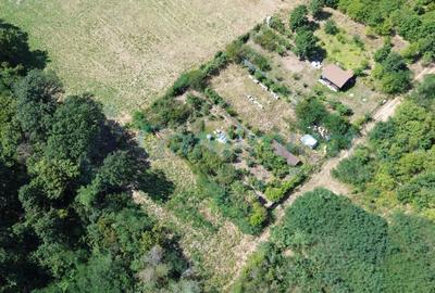 Teren Construcții intravilan de 1200 mp, în Paleu - 8