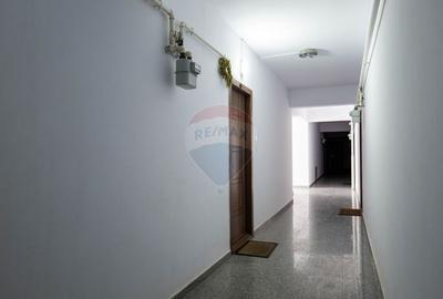 Vanzare apartament 2 camere, decomandat str. Stejarului - Dobroesti - 19