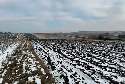 Teren de 991 mp, în Burdujeni - 3