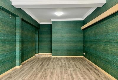 Duplex cu 9 camere cu Canalizare în Dorobanți - 2