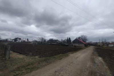 Casă cu Teren 3976 Mp în Dumbrăvița - 1