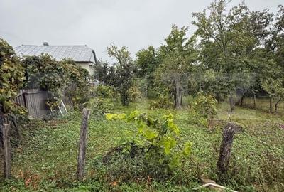 Casa batraneasca, 65 mp si teren intravilan 5600 mp, Adancata - 3