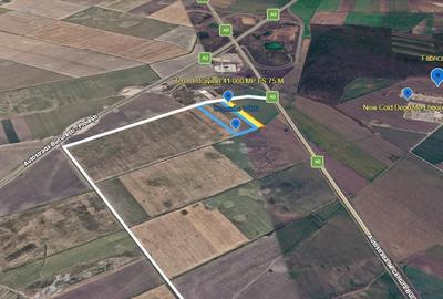 Teren Construcții intravilan de 41000 mp, în Ștefăneștii de Jos - 2