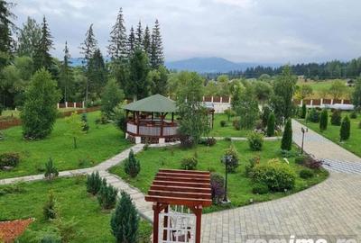 Domeniu situat la poalele Calimanilor - 9