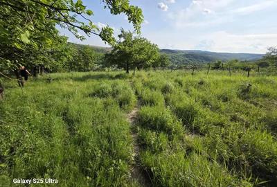 Teren de 3600 mp, în Drăgușani - 4