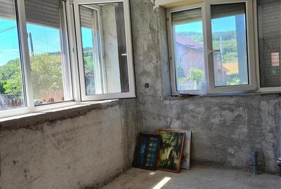 Casă cu 2 camere în Românași - 8