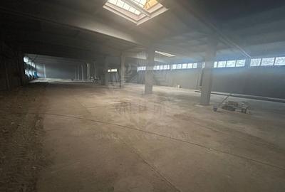 Spațiu industrial, în B-dul București - 9