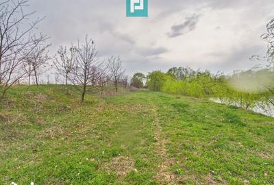 Teren de 10000 mp, în Grădiște - 4