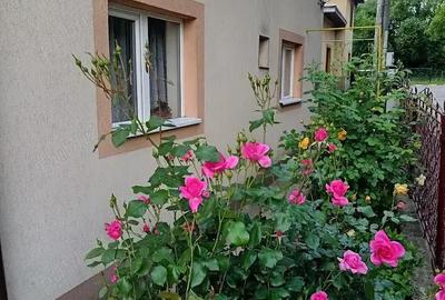 Casă cu 2 camere cu Teren 400 Mp în Gura Humorului - 2
