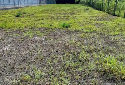 Spațiu comercial, în Sângeorgiu de Mureș - 2