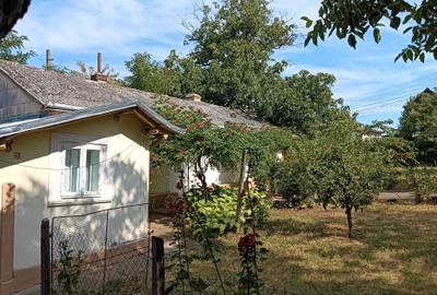 Casă cu 3 camere în Flămânzi - 7