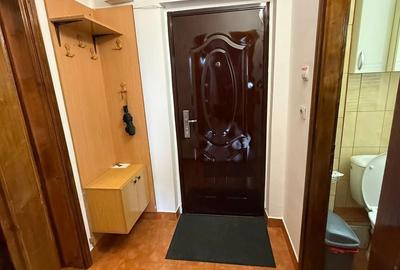 Garsonieră în Paltin - 2