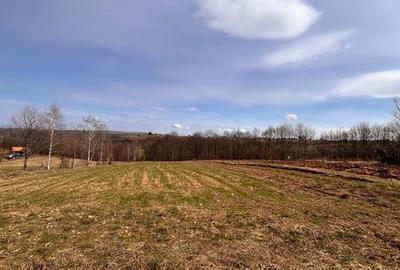 Teren de 3000 mp, în Râșca - 2