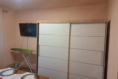 Casă cu Teren 1480 Mp în Coșteiu - 2