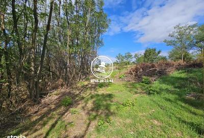 Spațiu comercial, în Aroneanu - 4