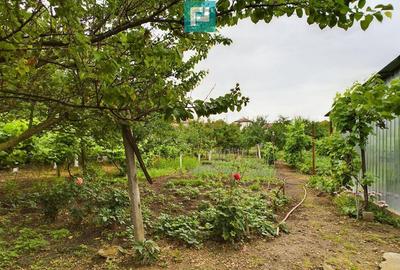 Casa ideala pentru o familie numeroasa, Santana - 26