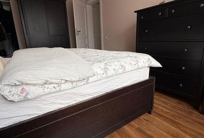 Casă cu 3 camere cu Teren 116 Mp în Cantemir - 8