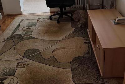 Garsonieră decomandată, mobilată în Circumvalațiunii - 7