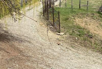 Teren de 22000 mp, în Corbi - 4